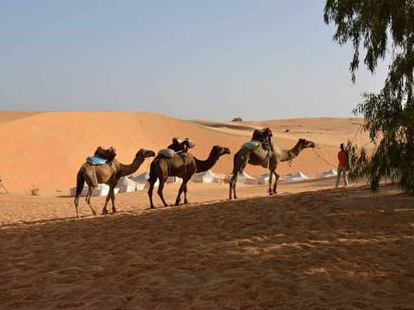 Explore Lompoul Desert or The Mini Sahara